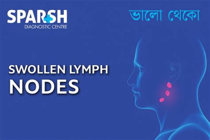 Are lymph nodes oval?