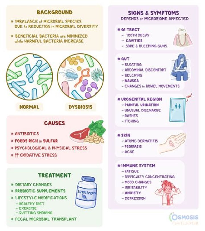 Can poor gut health cause anxiety?