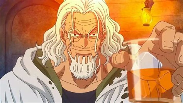 Does Rayleigh know what One Piece is?