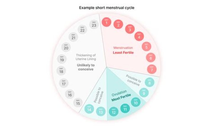 Is it harder to get pregnant with short cycles?