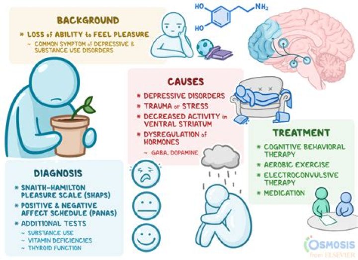 What mental illness causes apathy?