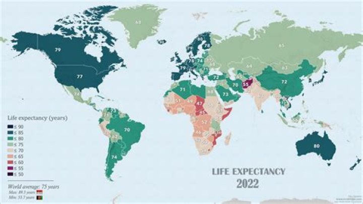 What was the life expectancy of a World war 1 pilot?